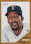 Vladimir Guerrero Baseball Cards