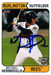 Michael Hermosillo Baseball Cards
