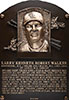 Larry Walker Baseball Cards