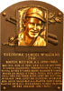 Ted Williams Baseball Cards