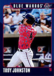 Troy Johnston Baseball Cards