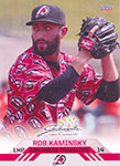 Rob Kaminsky Baseball Cards
