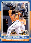 Andruw Monasterio Baseball Cards