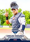 Carlos Narvaez Baseball Cards