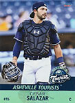 Cesar Salazar Baseball Cards
