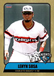 Lenyn Sosa Baseball Cards